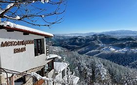 Александрова вила 1